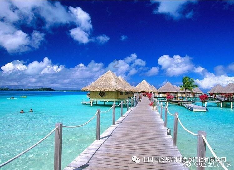 冬眠的葡萄苏醒了怎么？游戏画面