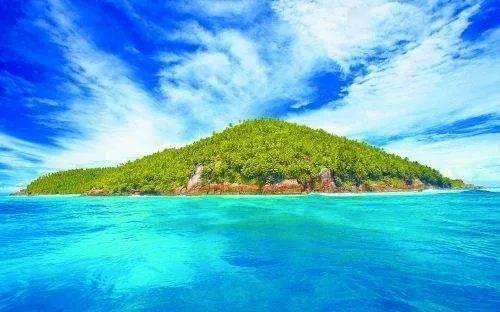 小企鹅逃生
