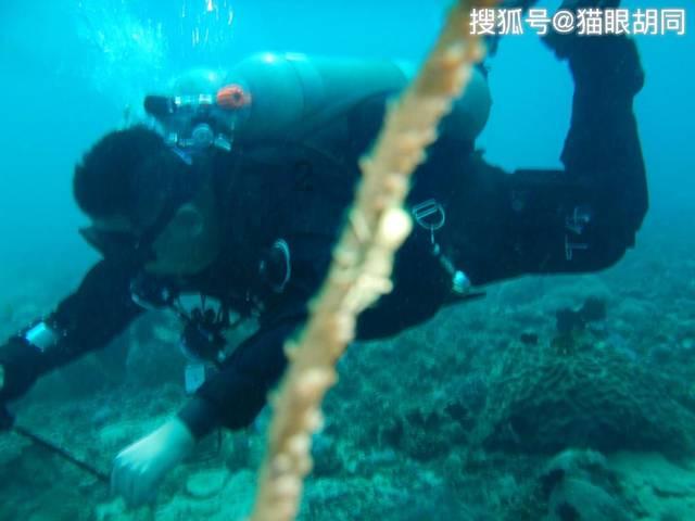 办公室助理