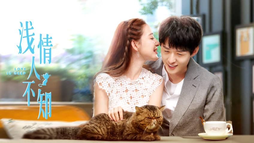 天上掉下个小猪猪