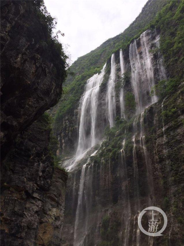 还纠结黄皮肤是否适合墨绿色上衣？看看凯特王妃10套穿搭就知道了