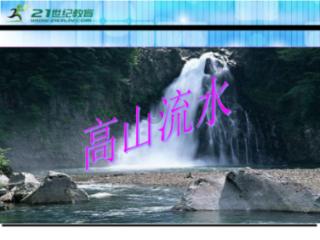 悲伤兔大冒险