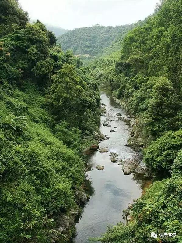 狂野飙客4