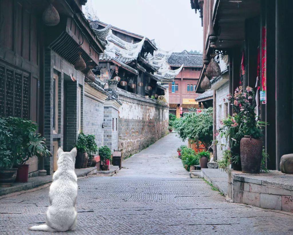 婚姻对于女人是赌幸福吗？游戏画面