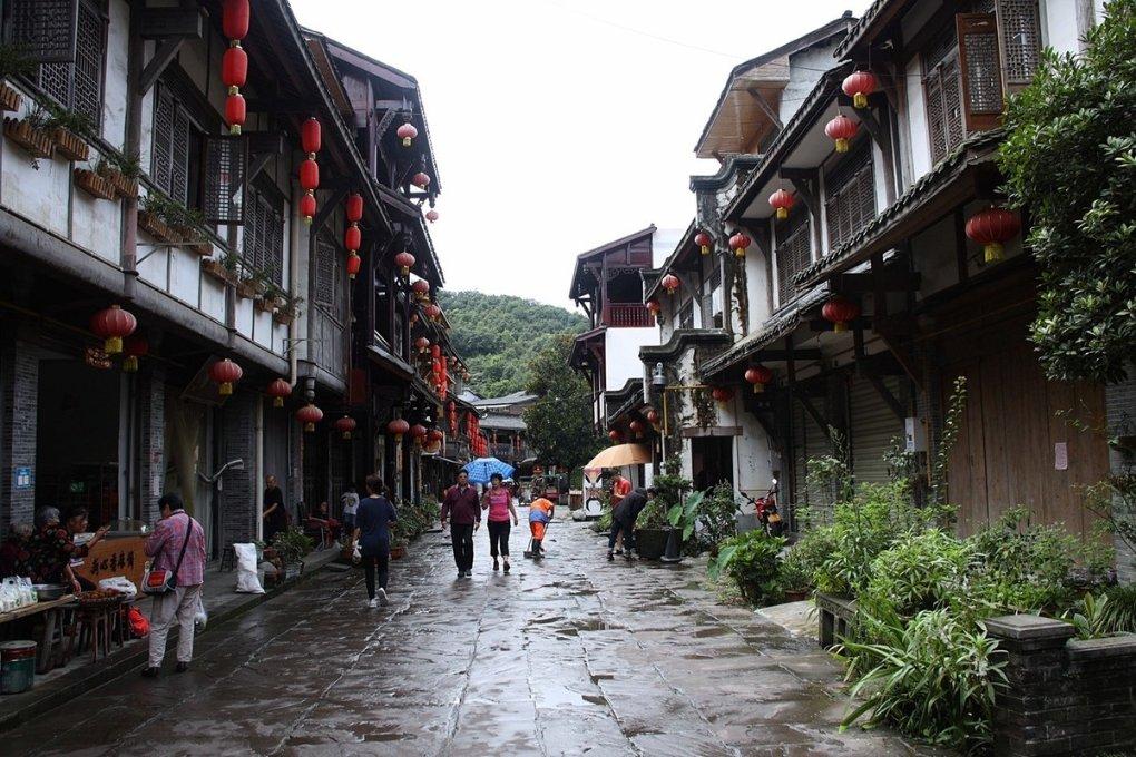 阴暗森林